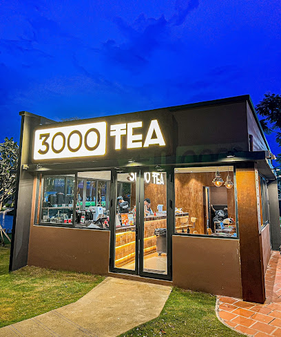 3000 TEA